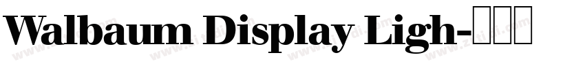 Walbaum Display Ligh字体转换